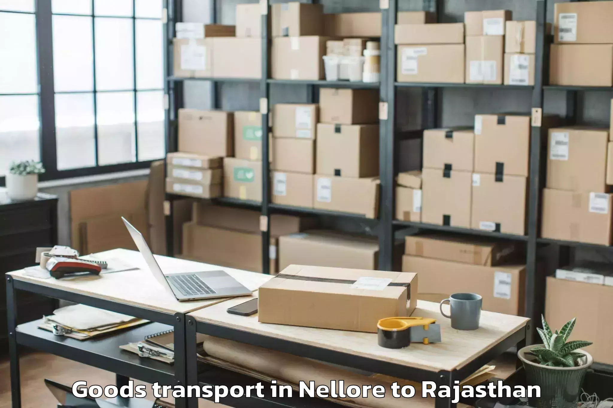 Reliable Nellore to Maharaja Ganga Singh Universit Goods Transport